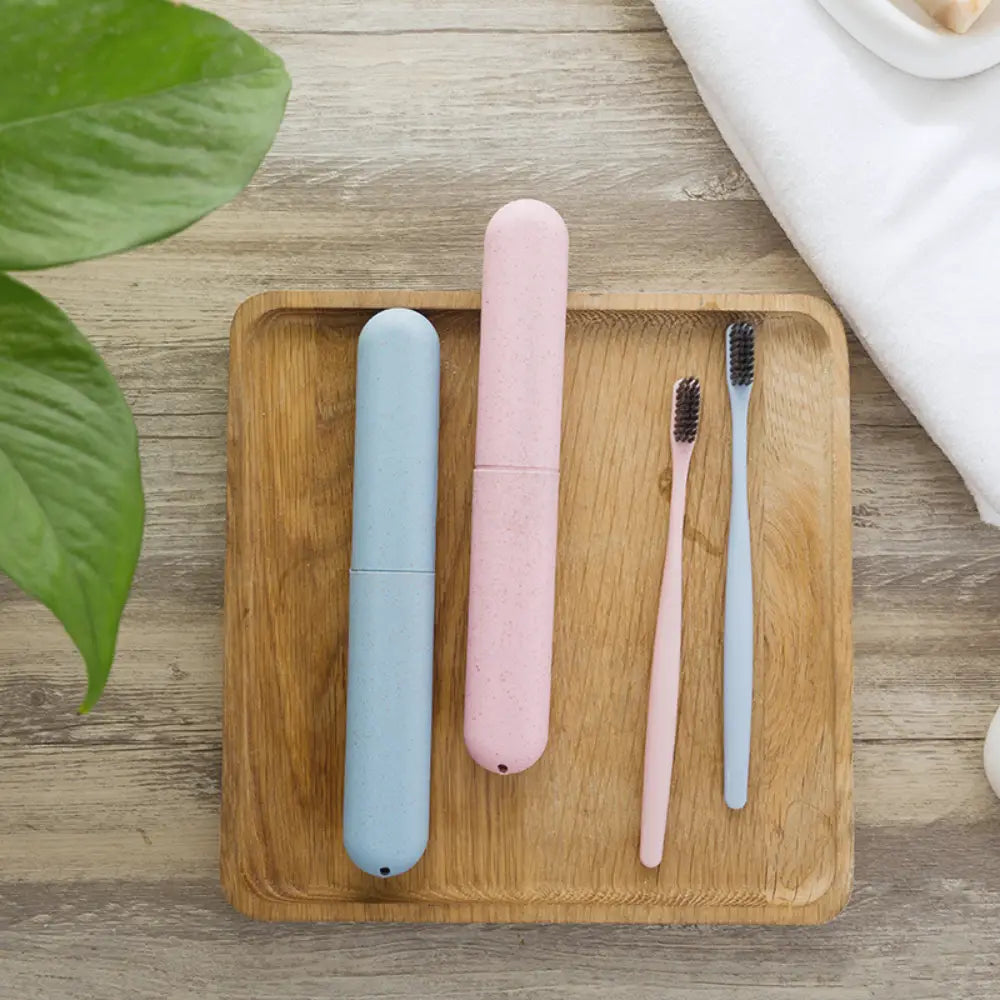 deux etuits de brosse a dent bleu et rose